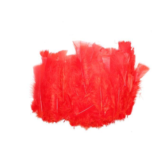 Plumes de dinde 12/18 cm 25g Rouge
