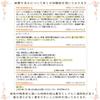Goshuincho 60 book vinyl floral navy blue (stamp book) pages, style, cover, arabesque,