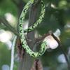 75cm Realistic Rubber Snake Toy - Scary, Funny, Creative Fake Animal Model for Children