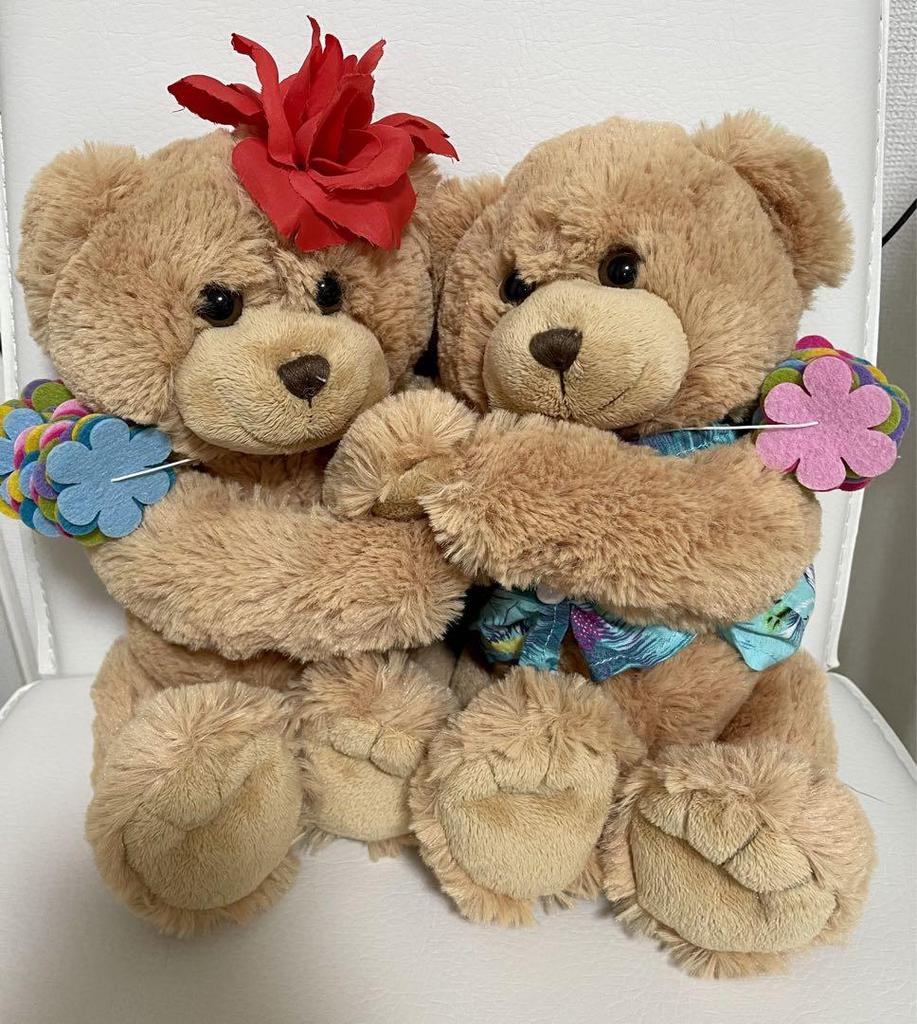 [USED] Stuffed Teddy Bear