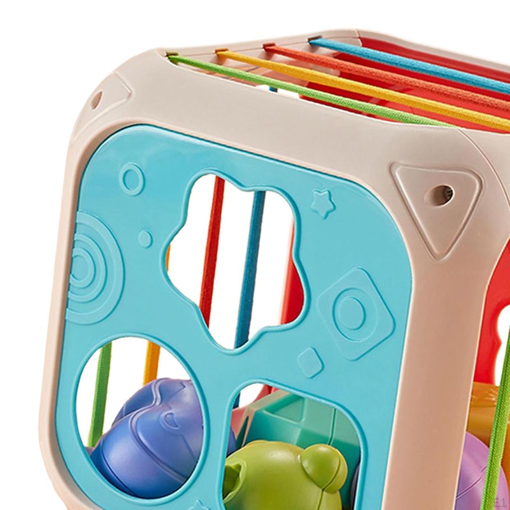 Baby Shape Sorter Toys Early Developmental Matching with Elastic Bands Color Recognition for