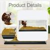 Model Car Display Case Storage Box 1:64 Micro Landscape Decor Decorative Photo Prop Scenes Parking