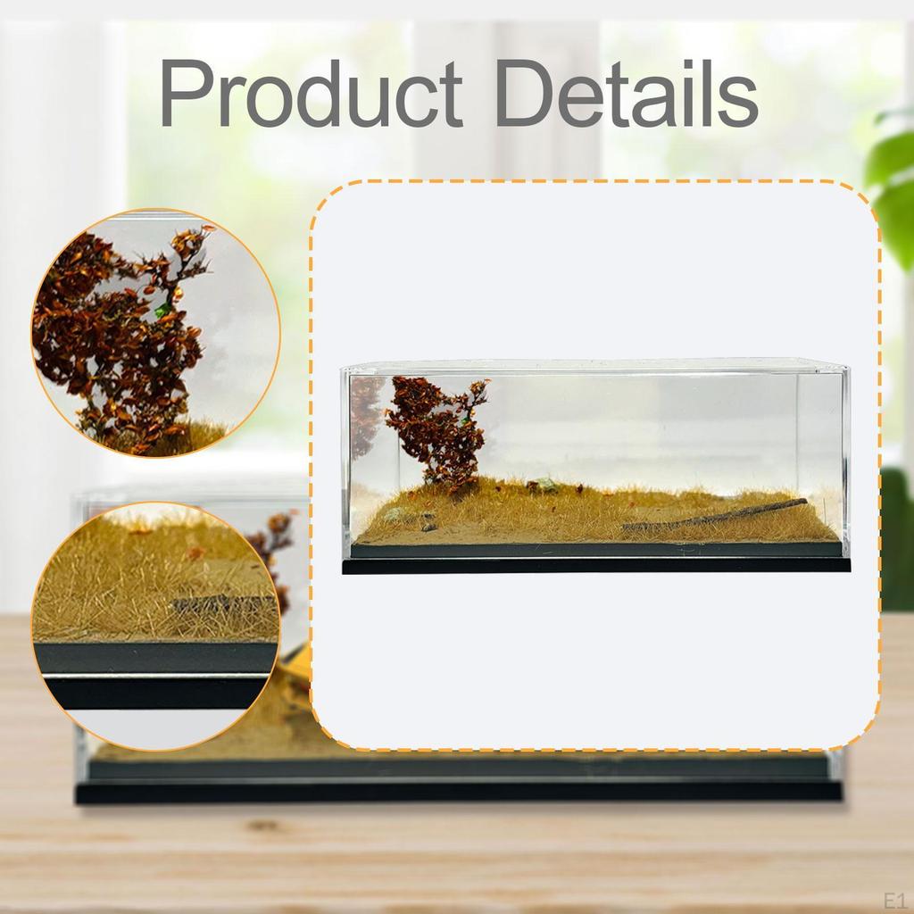 Model Car Display Case Storage Box 1:64 Micro Landscape Decor Decorative Photo Prop Scenes Parking