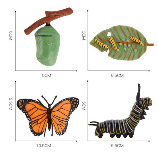 4Pcs/5Pcs Frog Tarantula Butterfly Bee Animal Growth Observation Model Toys