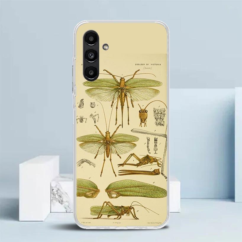 Bugs Bees Scientific Decomposition Cover for Samsung Galaxy A17 A37 A57 A16 A26 A36 A56 A15 A14 A55 Phone Case A13 A53 A25 A35 A