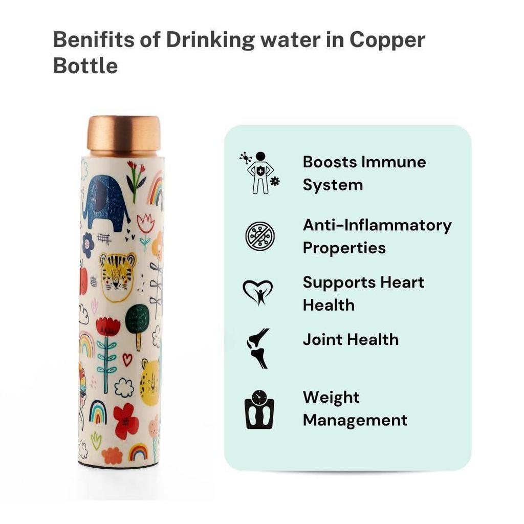 Jolly Copper Water Bottle, 750ml, 1 Piece | Kids | Leak Proof, Durable and Rust Free | Eco-friendly and Sustainable, 750ml, Pack of 1