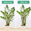 2pcs Metal Plant Support Stakes Garden Greenhouse Arrangement Semicircle Fixed Rod Indoor Flower Plant Vine Climbing Bracket