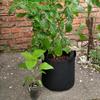 1/3/5/7/10 Gallon Felt Garden Planting Bag Planting Nursery Pot  Vegetable Tomato Potato Flower