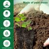 50/100 Stück Anzuchtschwämme Kompatibel mit Set für Anzuchtschwämme Wiederverwendbare Samenkapseln für Hydroponischen Gartenbau
