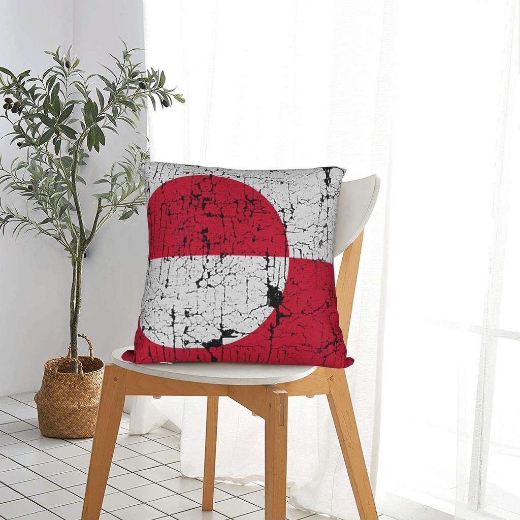 Pillow Cover Vintage Greenland Flag Cute Funny Pillow Case For Chair Sofa Home Decor Pillowcases