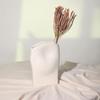 Ceramic Vase The Wrinkles Are Irregular. Flower Vase Flower Arrangement Accessories Terrarium Room Decoration Accessories