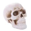 Pottery Simulation Skull Ornament Refractory Halloween Skull Props Fire Pit Skull  Fireplace