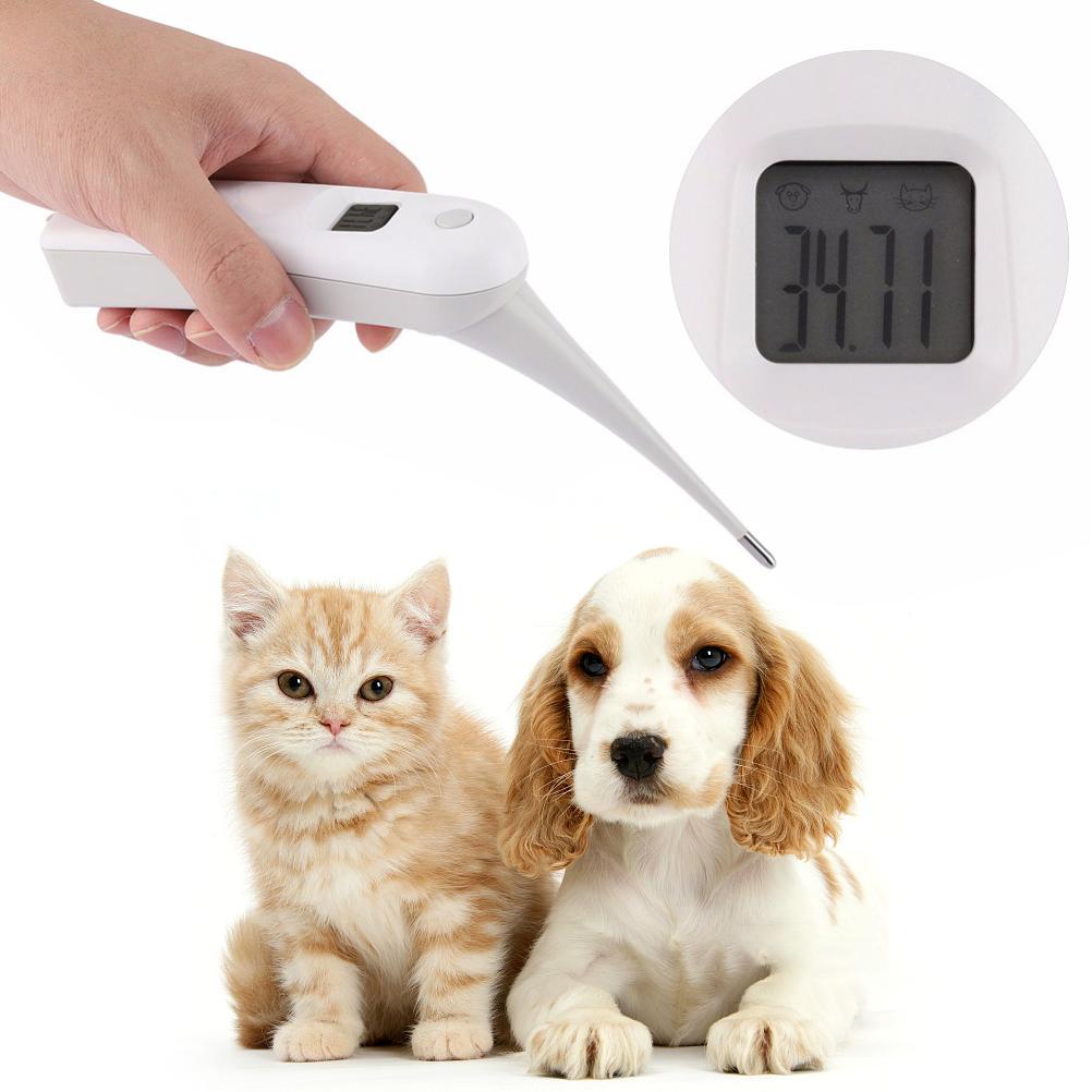 Tierarzt-Thermometer Haustier Digitales Thermometer Elektronisches Thermometer für Tiere