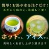 Commercial-grade Powdered Green Tea (top) 500g with Matcha and a Hint of Brown Rice (Japanese Tea, Powdered Tea, Powdered Green Tea, Powdered Green