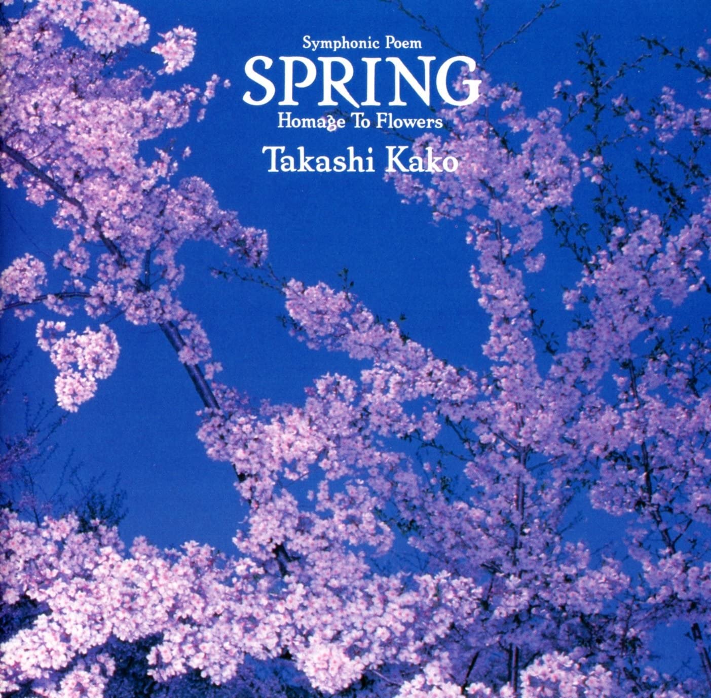 

CD GAGRON - spring - for flowers CSCL1139PROMO CBS/Sony 1990 Japan Jazz Used