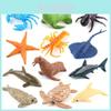 Realistisches Meeresleben 12-teiliges Set PVC Meeres-Tierfiguren Inklusive Seestern Oktopus Robbe Und Hai Spielzeug Für Unterwasserwelt-Erkundung