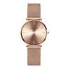 Hannah Martin Women's Watch, Stylish, Classic, Simple, Business Quartz Movement