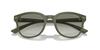 Sunglasses EA4225U MATTE GREEN 53 [Emporio Armani] Men's
