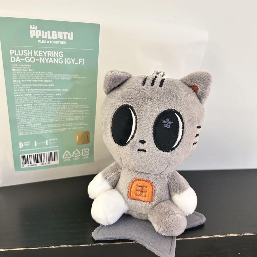 [USED] TXT Pullover Pop-Up Dagonyan Keyring Taehyung