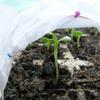 Non-woven Plant Cover Outdoor Horticultural Plant Cover Reusable Shrubs Transparent Accessories Freeze Frost Garden New