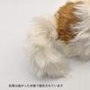 BH7030 HANSA Shih Tzu 30