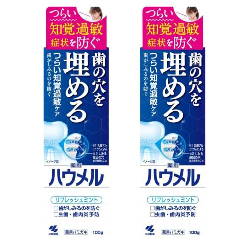 

Kobayashi Pharmaceutical Haumel Medicated Toothpaste for Sensitive Teeth, Fresh Mint, 100g x 2-Pack