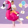 Flamingo Inflatable Suit Costume Disguise Self-inflating Pink Suit