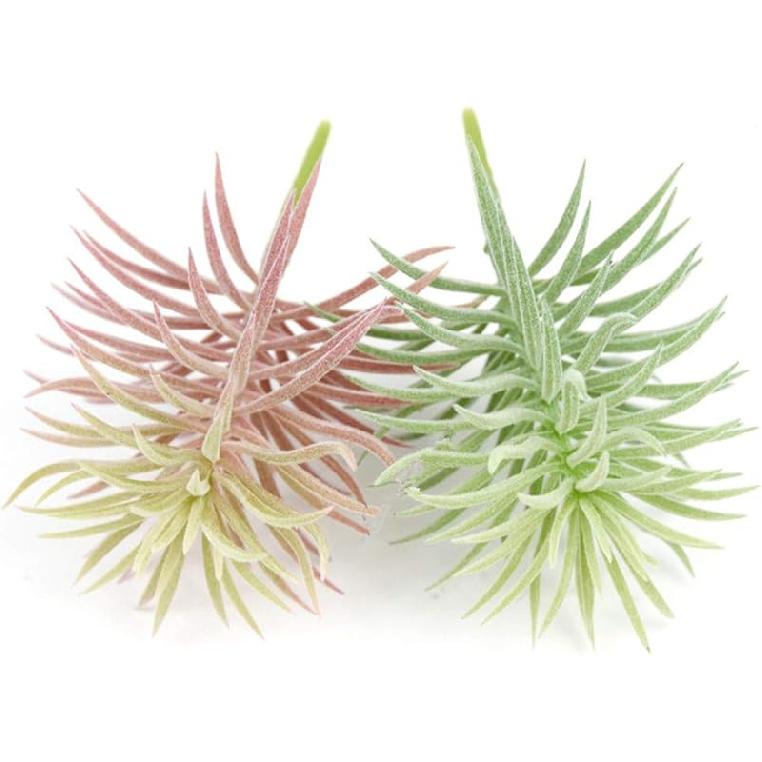 2 PCS Artificial Succulents Plants Unpotted Fake Flocking Tillandsia Air Plants Succulent Bromeliads Bouquet Arrangements Faux Plants DIY for Garden