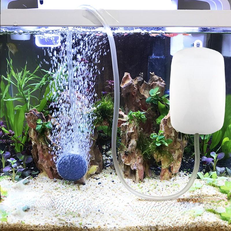 Aquarium Air Pump 2.5W Ultra Quiet Mini Oxygen Compressor for Fish Tank/Bowl with Dual Outlets Energy-Saving Bubbler Aerator