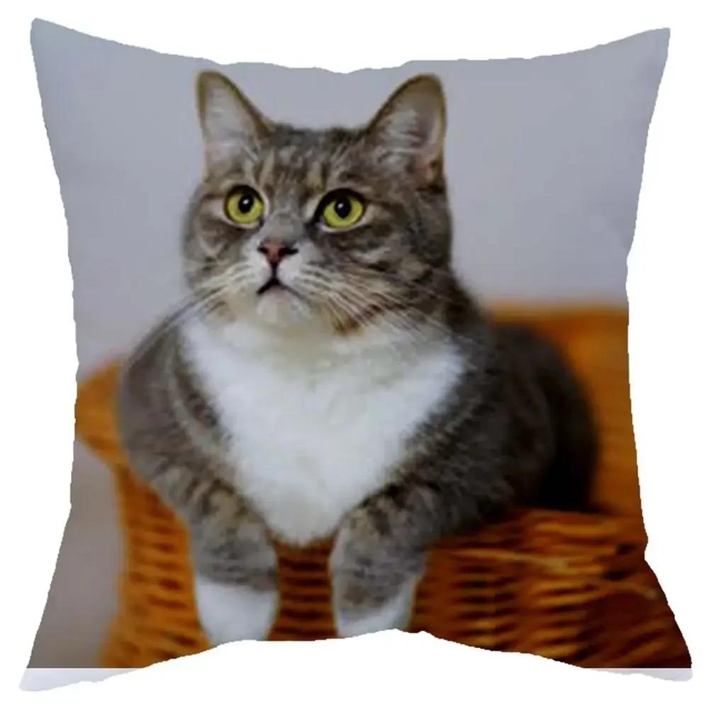 Cute Cat Pillowcase D Flat Printed Peach Skin Cushion Cover Realistic Kitten Animal Pattern For Sofa Living Room Decor