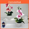 Orchid Realistic Butterfly  Green Plants Potted For Indoor Decorations
