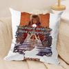 Fantasy Film LLabyrinth Cushion Cover Silky Short Plush Invisible Zipper Dustproof Sofa Pillow Case for Home Decor