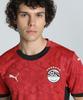 License Shirt EFA Home Jersey Replica L Red [PUMA] Soccer/Futsal Men's Men's