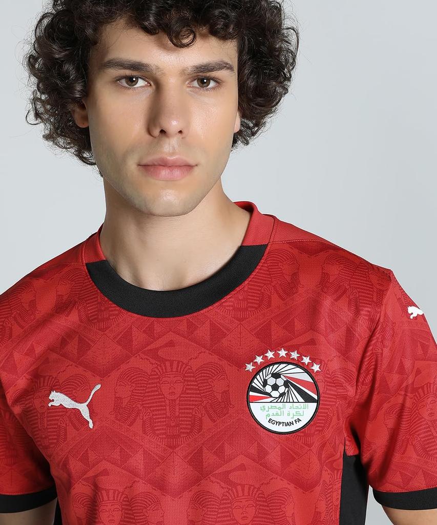 License Shirt EFA Home Jersey Replica L Red [PUMA] Soccer/Futsal Men's Men's