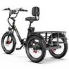 ONESPORT OT30 Pro Elektrisk Lastcykel 500W Motor 20" Feta Däck Vikbar Vuxen Elcykel Topphastighet 25 km/h Dubbel Skivbroms 48V 18AH 7 Växlar