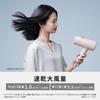 Panasonic Hair Dryer Ionity Mineral Negative Ion Quick Drying Large Air Volume Dark Gray EH-NE7M-H