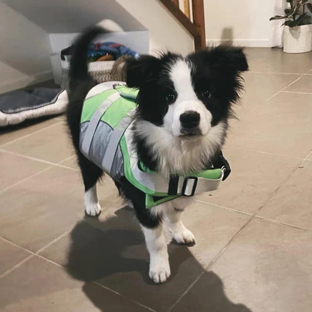 Breathable Dog Life Jacket Reflective Swimming Clothes Pet Supplies Dog Swimsuit  Boating