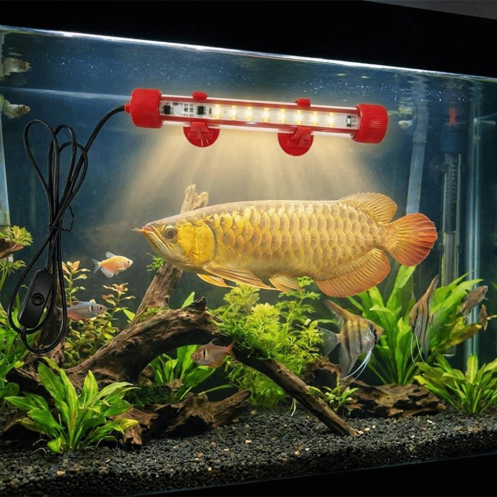 Color Lights Fish Tank Light Lighting Submersible Lamp Durable Color Fish Brightening Lamp Office