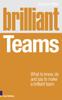 The Brilliant Teams : What To Know, Do and Say To Make a Brilliant Team Book
