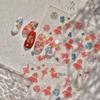 Tomoni & Mo Shi Glitter Nail Stickers: New Chinese Style Koi Butterfly Ornaments for High-End Feel