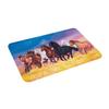 Seven Running Horse Front Floor Door Entrance Mat Indoor Animal Bath Kitchen Doormat Garden Carpet Rug