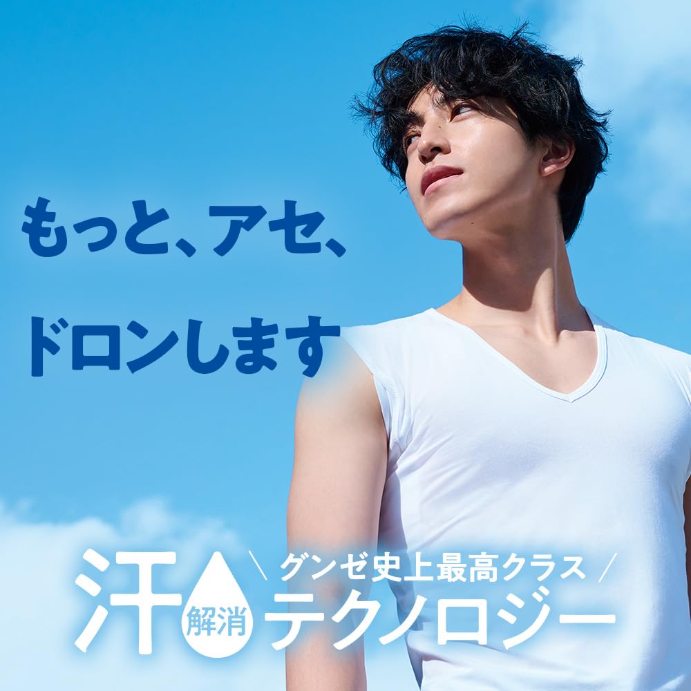 Gunze Acedron Men's V-Neck T-Shirt