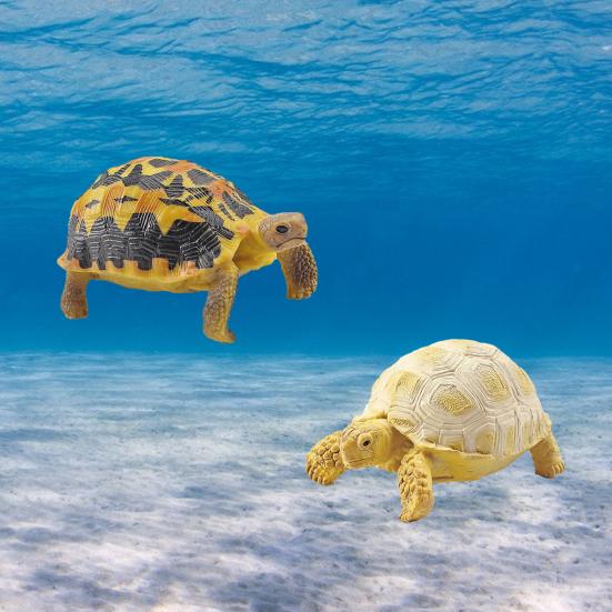 Sulcata Tortoise Mold Vivid Clear Texture 3D Effect Sea Ocean Life Simulation Animal Model for Kids
