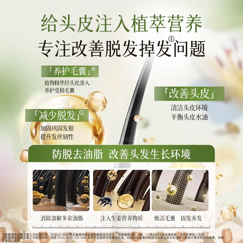 Zhuolanya Ginger Portable Experience Pack 10ml * 10 (shampoo/care)