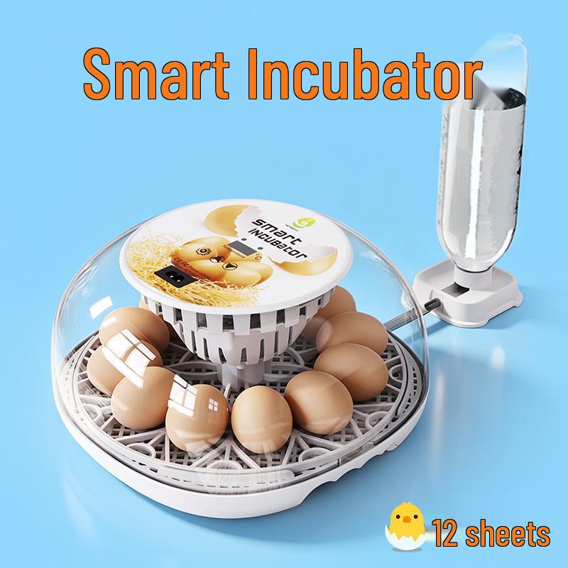 Smart Mini Egg Incubator for Parrots and Budgies: Automatic Pet Hatchery Equipment