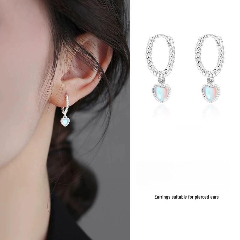 925 Sterling Silver Hoop Earrings: 2025 Modern Niche Design - Elegant & Luxurious for Women