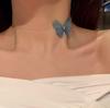 Korean version of temperament butterfly collarbone chain 2025 new niche design necklace female tide Internet celebrity cold wind neck chain