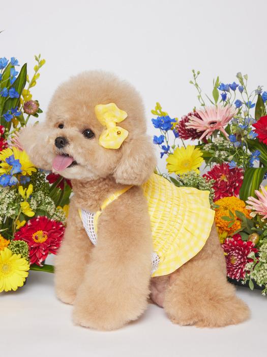 

SALTYHEARTY Hello Crop Blouse New Check YELLOW Yellow