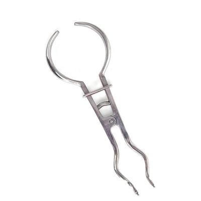 1 Set Dental Dam Locher Zähne Pflege Zange Kofferdam Puncher Labor edelstahl Kieferorthopädische Werkzeuge