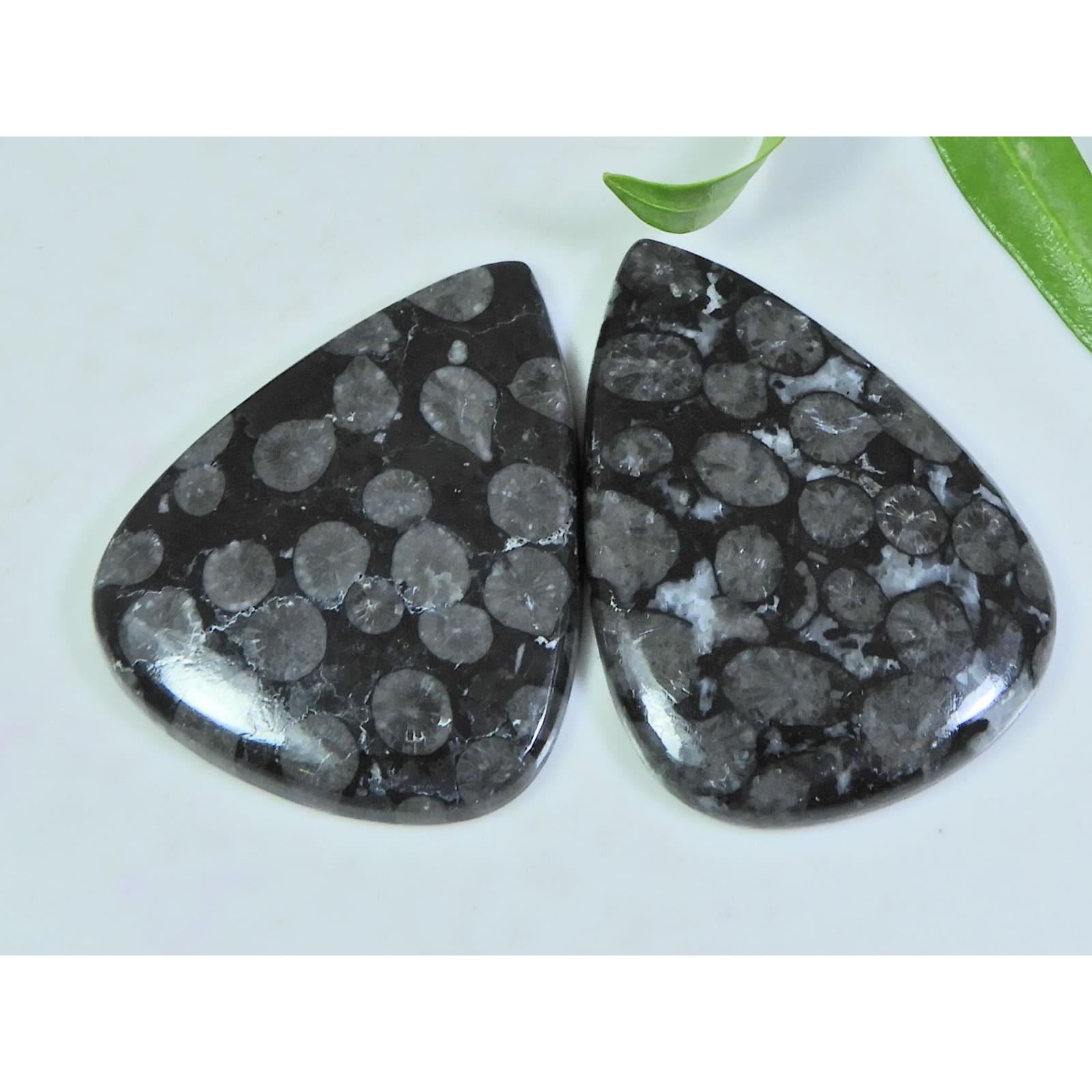

2Pcs 87Cts. Natural Black Fossil Coral Pear Cabochon Gemstone 28X40-31X38MM A-117